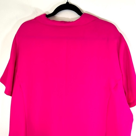 Liz Baker Woman Princess Cut Dressy Button Up Women’s Size 24W Pink Blouse - Picture 8 of 12